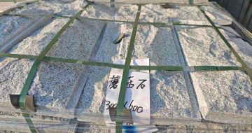 巴中芝麻白蘑菇石，自然面